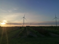 Plukavond bij Hanneke's Pluktuin