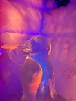 IJsbeeldenfestival 2025