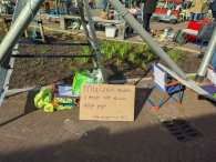 Koningsdag 2023