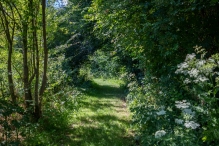 Harderbos