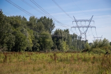 Harderbos
