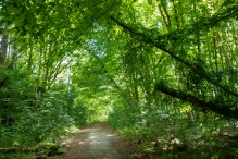Harderbos
