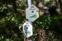 Harderbos