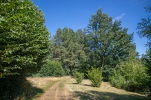 Harderbos