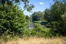Harderbos