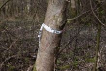 Biddinghuizen - diversen
