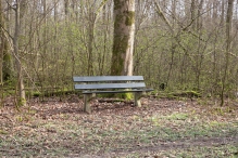 Biddinghuizen - diversen