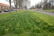 Biddinghuizen - diversen