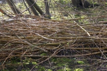 Biddinghuizen - diversen