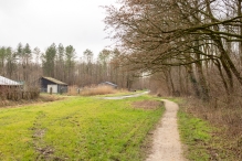 Biddinghuizen