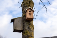 Biddinghuizen
