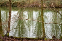 Biddinghuizen