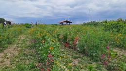 OVDD bezoekt Hanneke's Pluktuin
