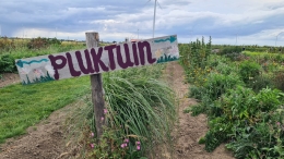 OVDD bezoekt Hanneke's Pluktuin