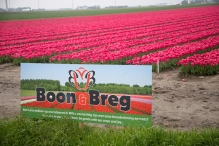 Tulpenroute Flevoland 2023