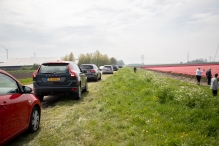 Tulpenroute Flevoland 2023