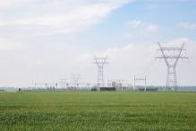 Tulpenroute Flevoland 2023