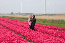 Tulpenroute Flevoland 2023