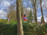 Walibi Play