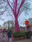 Walibi Bright Nights