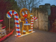 Walibi Bright Nights