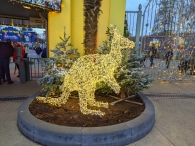 Walibi Bright Nights