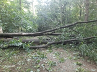 Storm Poly
