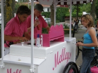 Intocht Avond4Daagse 2007