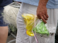 Intocht Avond4Daagse 2007