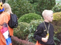 Intocht avond4daagse 2008