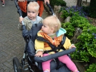 Avond4Daagse 2009