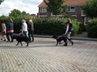 Avondvierdaagse 2012 (2)