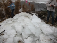 Oudjaarsduik World Servants