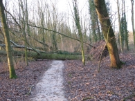 Storm rond Biddinghuizen