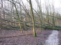 Storm rond Biddinghuizen