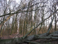 Storm rond Biddinghuizen