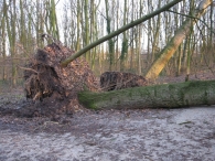 Storm rond Biddinghuizen