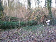 Storm rond Biddinghuizen