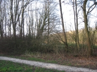 Storm rond Biddinghuizen