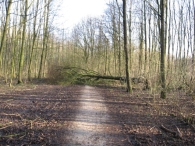 Storm rond Biddinghuizen