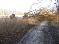 Storm rond Biddinghuizen