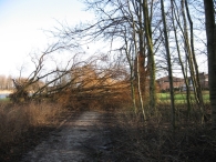 Storm rond Biddinghuizen