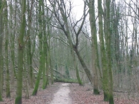 Storm rond Biddinghuizen