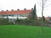 Storm rond Biddinghuizen