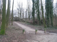 Storm rond Biddinghuizen