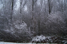 Sneeuwpret in Biddinghuizen