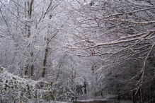 Sneeuwpret in Biddinghuizen