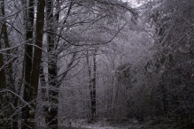 Sneeuwpret in Biddinghuizen