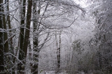 Sneeuwpret in Biddinghuizen