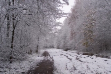 Sneeuwpret in Biddinghuizen